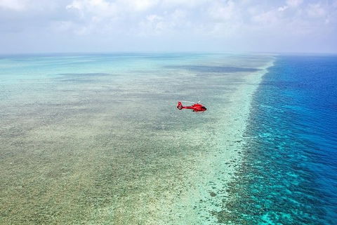 Day Tour To Kuranda, Rainforest And Port Douglas With Flight - Accommodation Tasmania 3