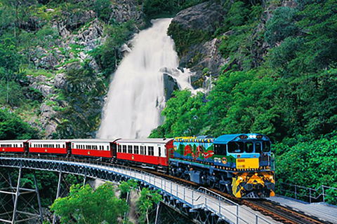 Day Tour To Kuranda, Rainforest And Port Douglas With Flight - Accommodation Tasmania 4