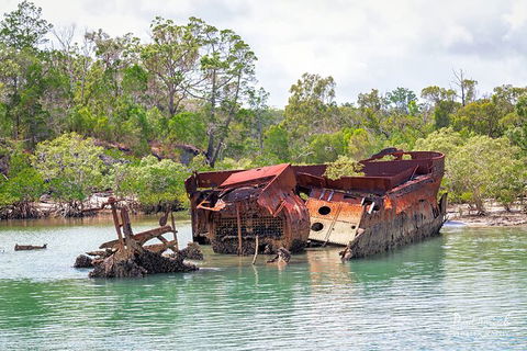 Sandy Straits Scenic & Wildlife Cruise - Accommodation Tasmania 9
