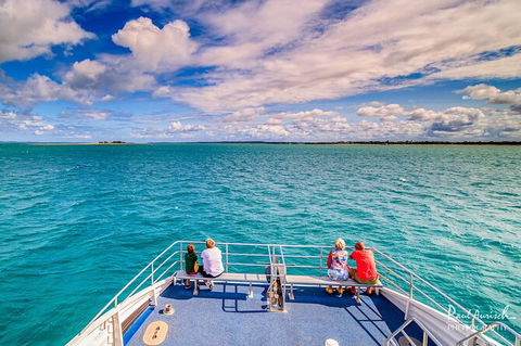 Sandy Straits Scenic & Wildlife Cruise - Accommodation Tasmania 7