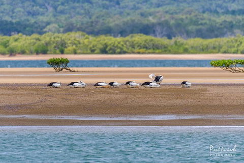 Sandy Straits Scenic & Wildlife Cruise - Accommodation Tasmania 3