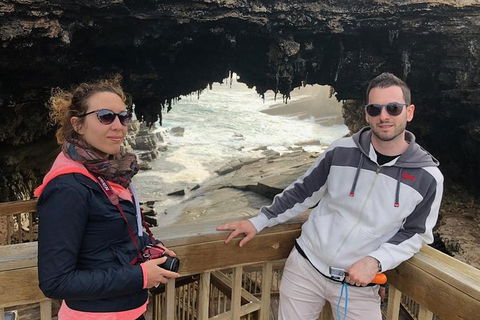 NEW TOUR - Flinders Chase Tour (Recovering From Fires) - Accommodation Tasmania 1