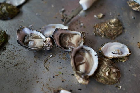 Fine Flavours - Full Day Kangaroo Island Food & Wine Tour - Accommodation Tasmania 10