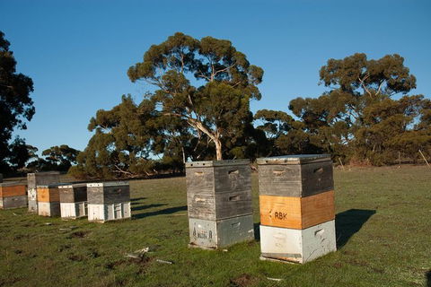 Fine Flavours - Full Day Kangaroo Island Food & Wine Tour - Accommodation Tasmania 5