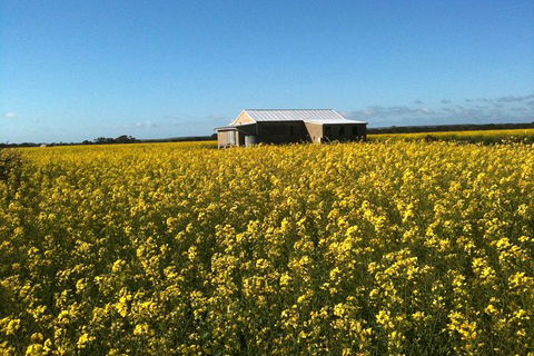 Fine Flavours - Full Day Kangaroo Island Food & Wine Tour - Accommodation Tasmania 11