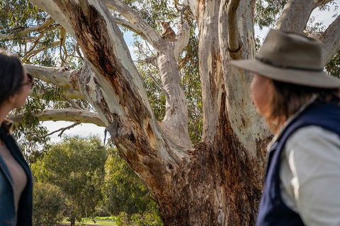 NEW TOUR - Kangaroo Island Road To Recovery Tour (1 Day/1 Night) - Accommodation Tasmania 2