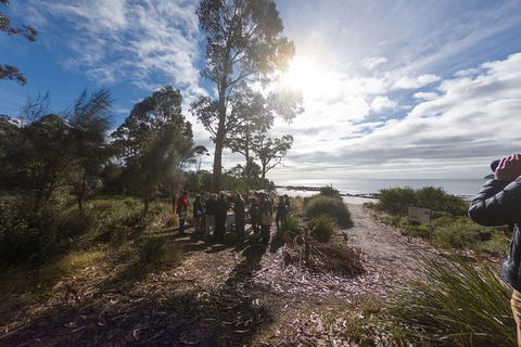 Bruny Island Day Tour, Includes Lunch And Exclusive Lighthouse Tour - Accommodation Tasmania 15