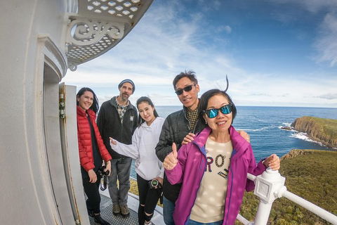 Bruny Island Day Tour, Includes Lunch And Exclusive Lighthouse Tour - Accommodation Tasmania 10