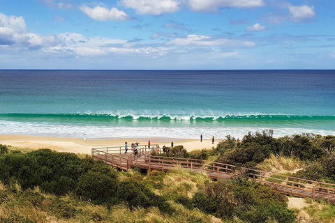 Bruny Island Day Tour, Includes Lunch And Exclusive Lighthouse Tour - Accommodation Tasmania 4