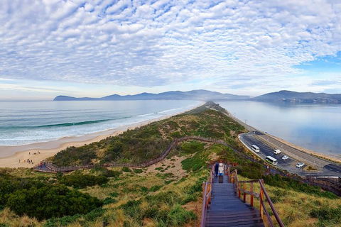 Bruny Island Day Tour, Includes Lunch And Exclusive Lighthouse Tour - Accommodation Tasmania 16
