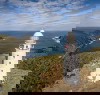 Bruny Island Day Tour Includes Lunch and Exclusive Lighthouse Tour - Accommodation Tasmania