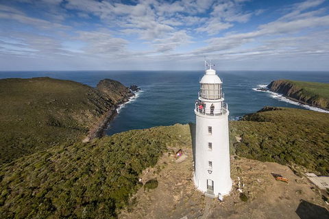 Bruny Island Day Tour, Includes Lunch And Exclusive Lighthouse Tour - Accommodation Tasmania 0