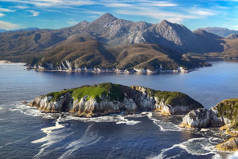 Southwest Tasmania Wilderness Experience: Fly Cruise And Walk Including Lunch - Accommodation Tasmania 12