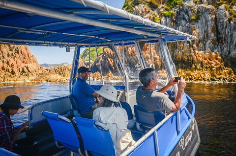 Southwest Tasmania Wilderness Experience: Fly Cruise And Walk Including Lunch - Accommodation Tasmania 11