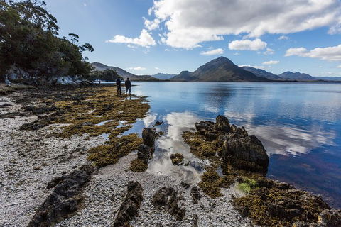 Southwest Tasmania Wilderness Experience: Fly Cruise And Walk Including Lunch - Accommodation Tasmania 10