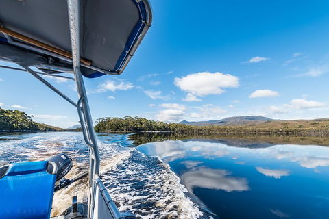 Southwest Tasmania Wilderness Experience: Fly Cruise And Walk Including Lunch - Accommodation Tasmania 13