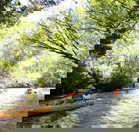 Paddle with the Platypus Twilight Kayak Adventure - Accommodation Tasmania