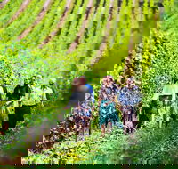 Tasmanian Wine Tour - Accommodation Tasmania
