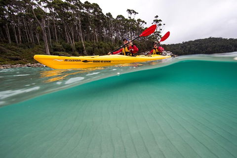 Tasman Peninsula Full Day Kayaking Tour - Accommodation Tasmania 5