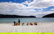Tasman Peninsula Full Day Kayaking Tour - thumb 3