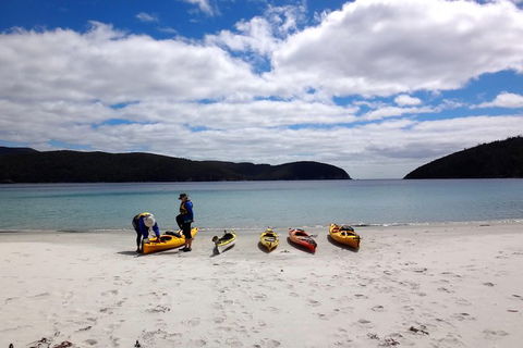 Tasman Peninsula Full Day Kayaking Tour - Accommodation Tasmania 3