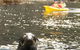 Tasman Peninsula Full Day Kayaking Tour - thumb 1