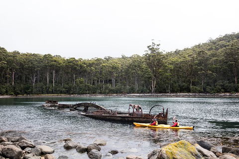 Tasman Peninsula Full Day Kayaking Tour - Accommodation Tasmania 2
