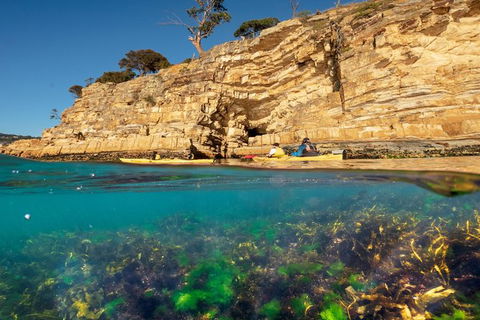 Hobart\'s Cliffs, Caves And Beaches Kayak Tour - Accommodation Tasmania 2