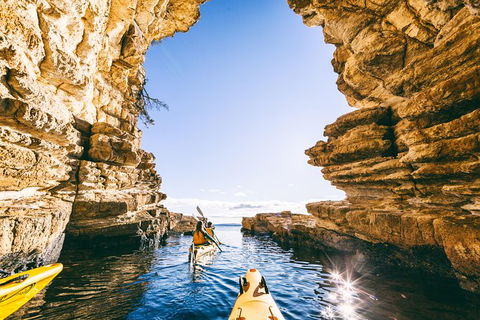 Hobart\'s Cliffs, Caves And Beaches Kayak Tour - Accommodation Tasmania 0