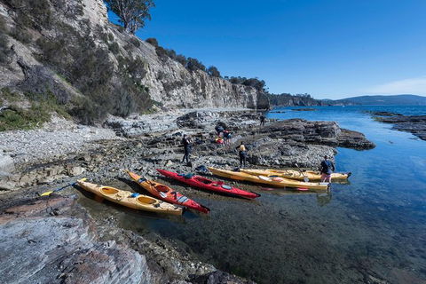 Hobart\'s Cliffs, Caves And Beaches Kayak Tour - Accommodation Tasmania 1