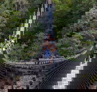 Tahune Airwalk Active Day Trip from Hobart Including Hastings Caves - Accommodation Tasmania