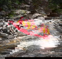 King River White Water Raft Journey from Queenstown with Lunch - Accommodation Tasmania