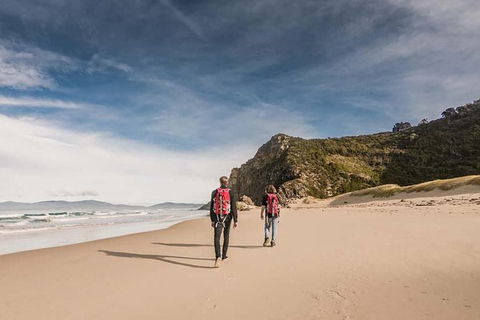 Bruny Island Overnight Explorer And Boutique Accommodation For Two - Accommodation Tasmania 4