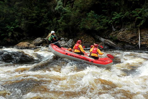 King River Whitewater Rafting Trip Including The Westcoast Wilderness Railway - Accommodation Tasmania 3