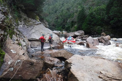 King River Whitewater Rafting Trip Including The Westcoast Wilderness Railway - Accommodation Tasmania 2