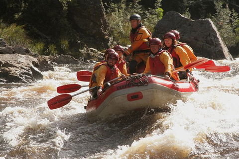 King River Whitewater Rafting Trip Including The Westcoast Wilderness Railway - Accommodation Tasmania 5