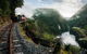 King River Rafting Day Trip From Queenstown To Strahan And Return Including The West Coast Wilderness Railway - thumb 0