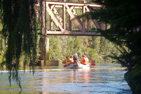 King River Rafting Day Trip From Queenstown To Strahan And Return Including The West Coast Wilderness Railway - Accommodation Tasmania 1