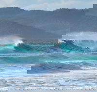 Full Day Tour Hobart East Coast Classic Wine Beach Oysters Seafood  Berries - Accommodation Tasmania
