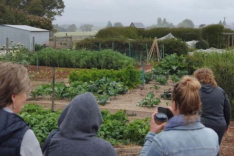Unearthed Chefs Tour - Accommodation Tasmania 17