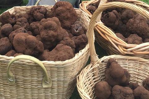 Unearthed Chefs Tour - Accommodation Tasmania 13