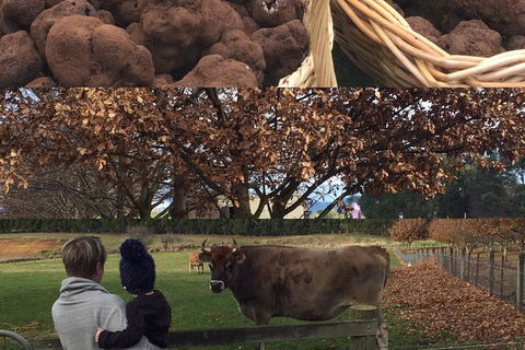 Unearthed Chefs Tour - Accommodation Tasmania 6