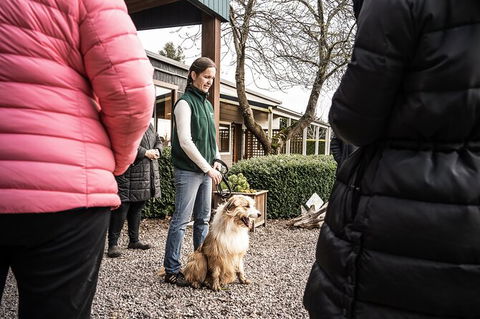Unearthed Chefs Tour - Accommodation Tasmania 10