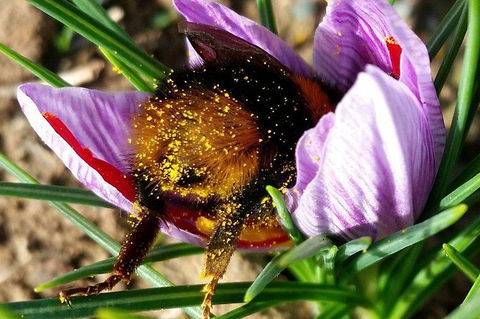 Unearthed Chefs Tour - Accommodation Tasmania 9