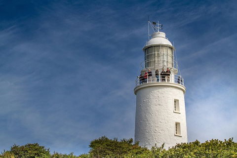 Fully Guided Bruny Island Lighthouse Tour - Accommodation Tasmania 7