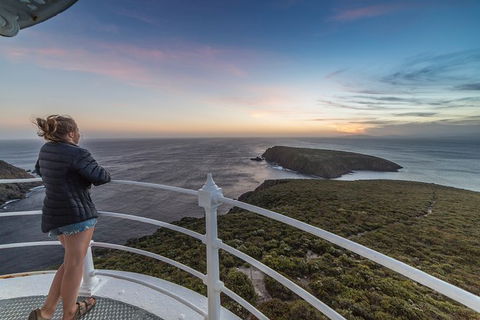 Fully Guided Bruny Island Lighthouse Tour - Accommodation Tasmania 4