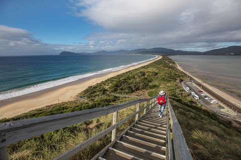Fully Guided Bruny Island Lighthouse Tour - Accommodation Tasmania 2