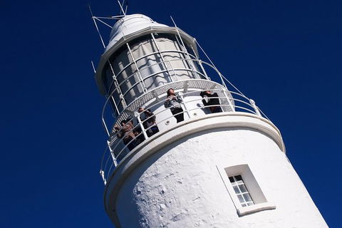 Fully Guided Bruny Island Lighthouse Tour - Accommodation Tasmania 1