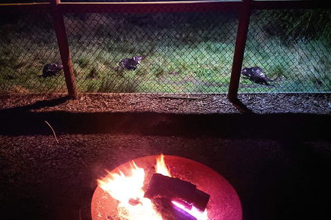 Sunset Experience - Accommodation Tasmania 3