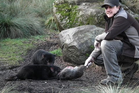 Sunset Experience - Accommodation Tasmania 2